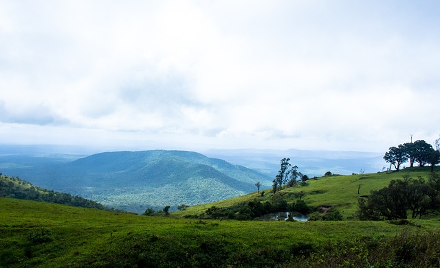 时及时的协 时及时的协