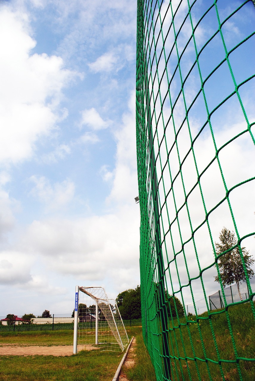 心球员缺乏 心球员缺乏