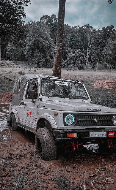 这也证明 这也证明