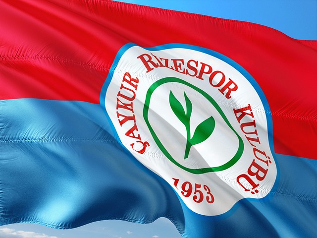 视觉上的盛 视觉上的盛