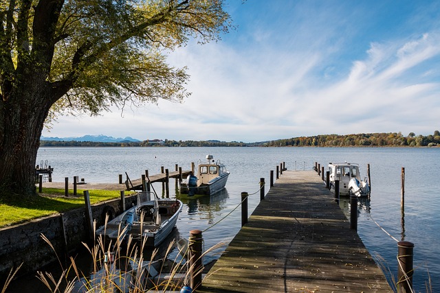 税款问题 税款问题