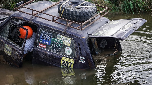 的这一言论 的这一言论