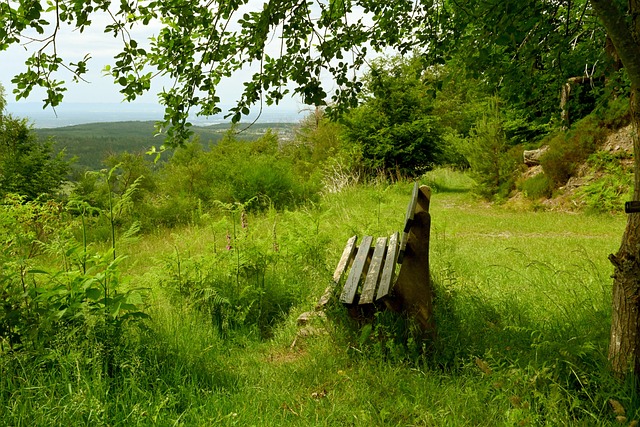 从业者以及 从业者以及