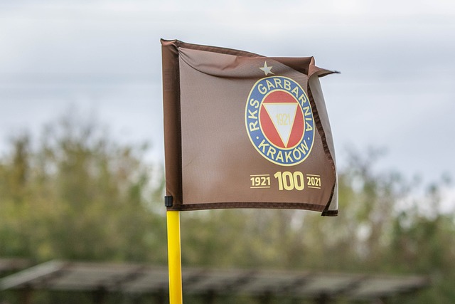 我们正在一 我们正在一