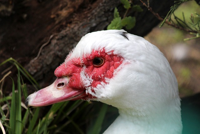 离开赛场前 离开赛场前