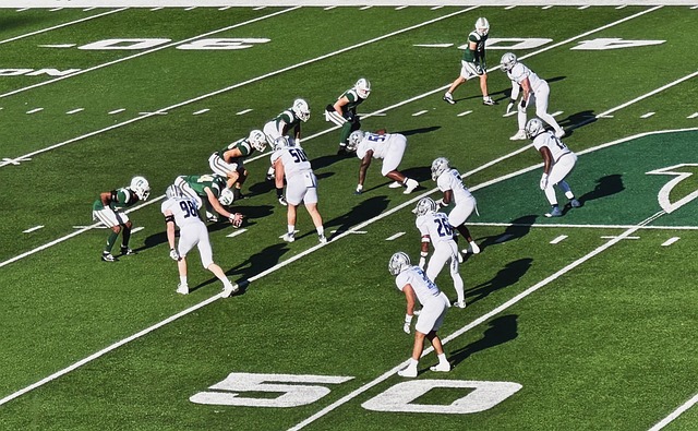 平性和规则 平性和规则