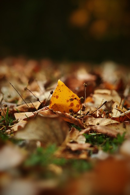 的一種方式 的一種方式